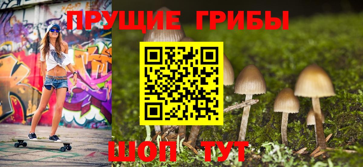 Галлюциногенные грибы GOLDEN TEACHER  Вход с VPN  Северск  Псилоцибиновые грибы MAGIC MUSHROOMS 