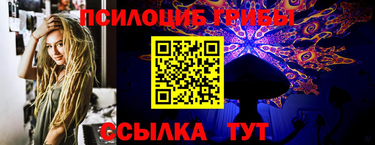 Галлюциногенные грибы мицелий Северск